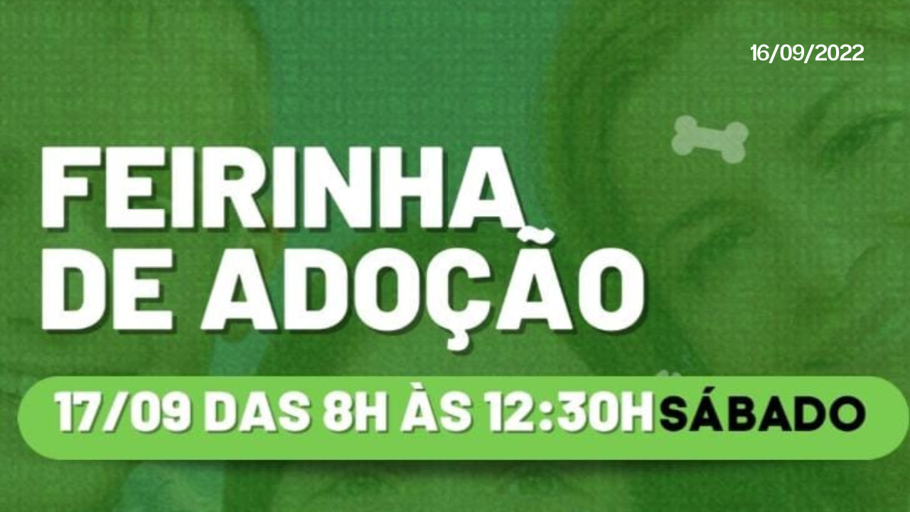 Imagem do card